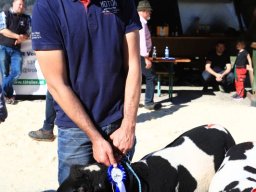 2019_ausstellung polling_633